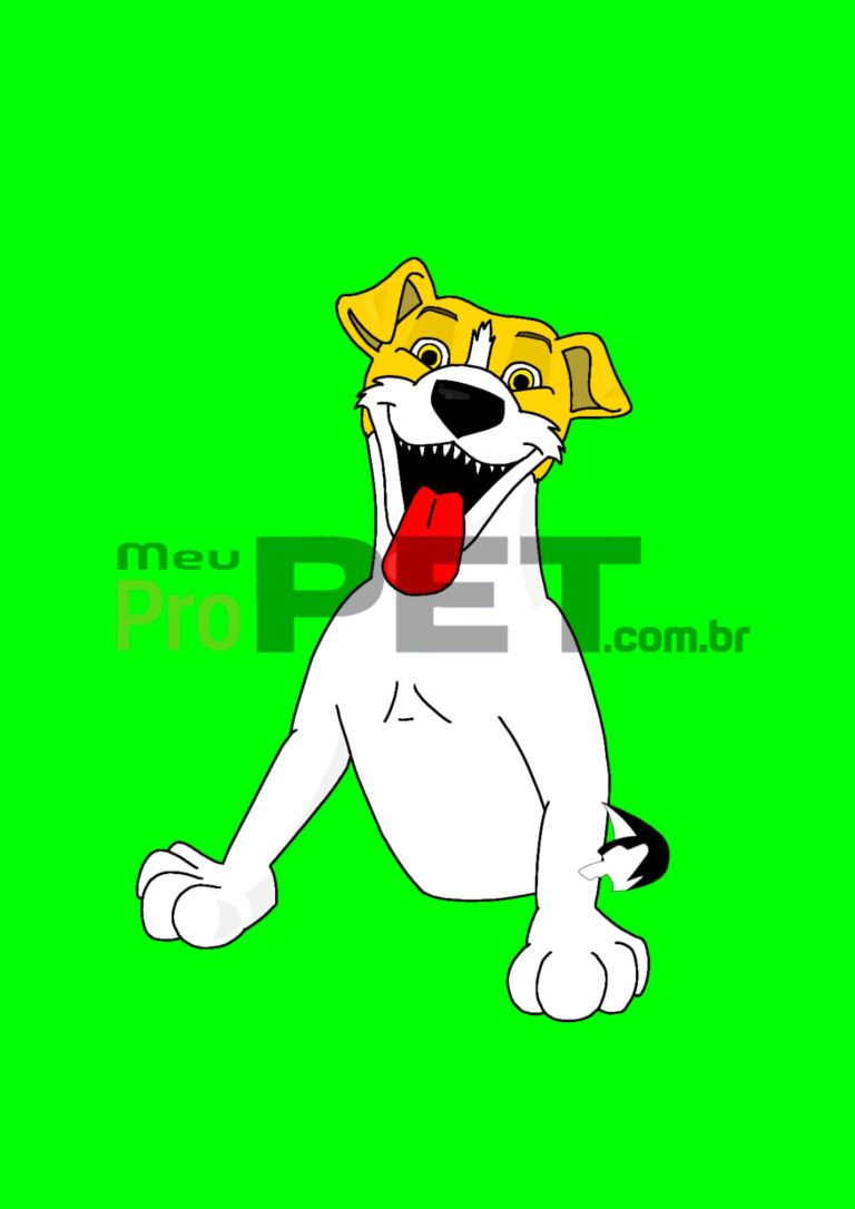 Jack Russel